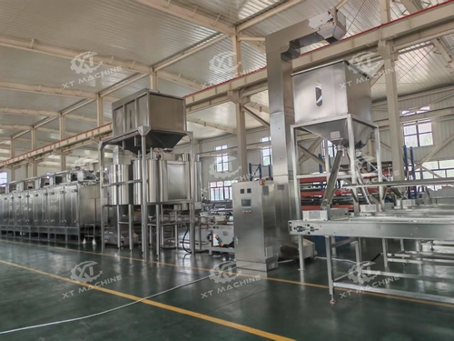 Erdnussroasting und -Blanching Line 2000-3000 kg/h nach Ägypten verschifft