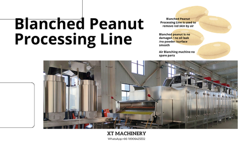 Latest company news about 5 Tipps für die Wahl unserer Blanched Peanut-Verarbeitung