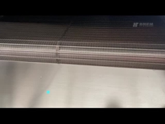 Kontinuierlicher Ofen 300 kg/h Elektrische Heizung Nussroaster mit Luftkühlung