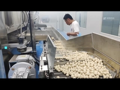 Elektrisches überzogenes Erdnuss-Schwingen Oven Coated Peanut Roastr 100KG/h