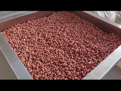 PLC-Steuerung Kontinuierliche Nüsse Ofen Kontinuierliche Nüsse Roaster Trockner/Roster