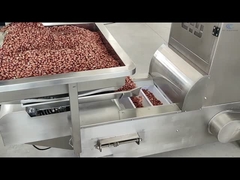 Z-Typ-Elevatorförderer