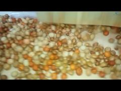 Beschichtungs- und Röstproduktionslinie