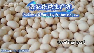 Maschine/Produktionslinie für die Herstellung von beschichteten Erdnussburgern#Erdnuss#Produktionslinie#Maschine#Beschichtung#Röster