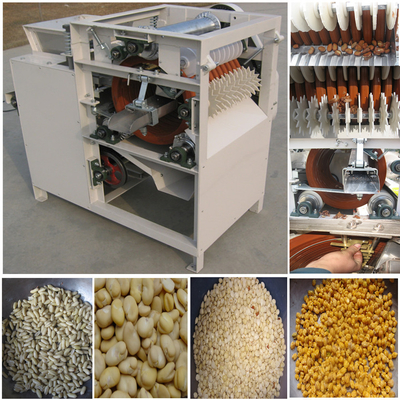 Ein guter Preis. Erdnussschäler aus Edelstahl 304 Fava-Bohnen-Bohne-Schälmaschine Online
